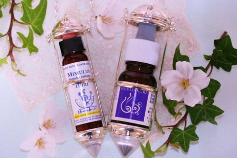 フラワーエッセンスのハートサポートシステム 個人セッション（遠隔）　フラワーエッセンスセッション画像